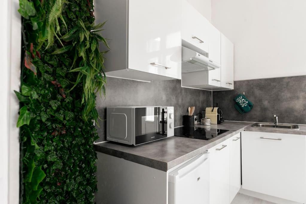 Charmant Studio Arbore Et Climatise Carcassonne Ngoại thất bức ảnh