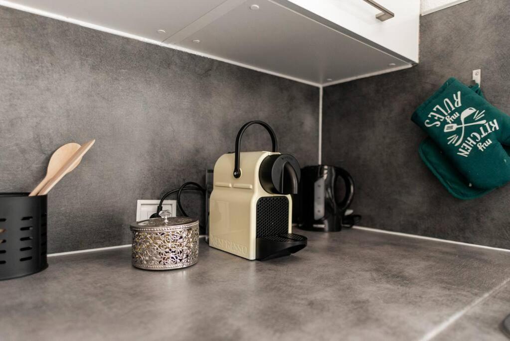 Charmant Studio Arbore Et Climatise Carcassonne Ngoại thất bức ảnh