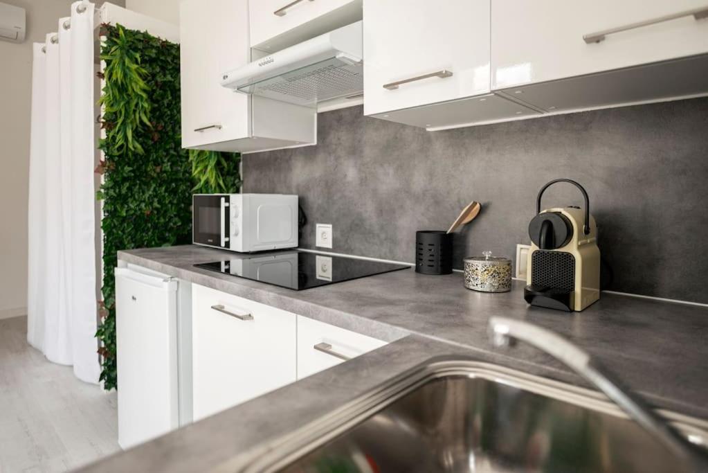 Charmant Studio Arbore Et Climatise Carcassonne Ngoại thất bức ảnh